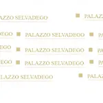 Hotel Palazzo Selvadego Venise